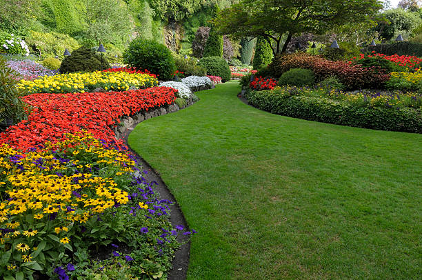 Garden Installation